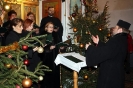 Olenica 26.01.2014_3